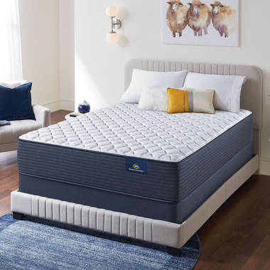 Serta perfect sleeper elkins deals ii plush euro top mattress